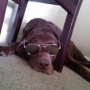 Meet your Posher, Cindy